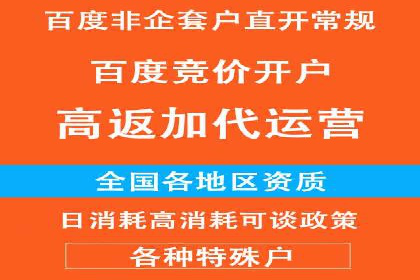 百度广告竞价之成功案例：某行业领军企业的崛起之路